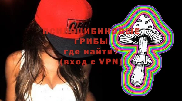 ГАЛЛЮЦИНОГЕННЫЕ ГРИБЫ Абинск
