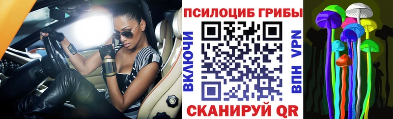 Псилоцибиновые грибы MAGIC MUSHROOMS  купить наркоту  Дмитровск 